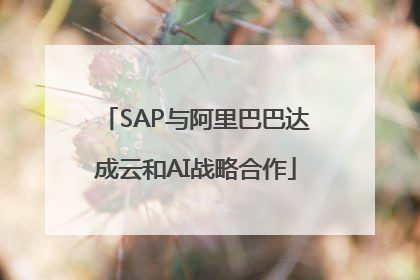 SAP与阿里巴巴达成云和AI战略合作
