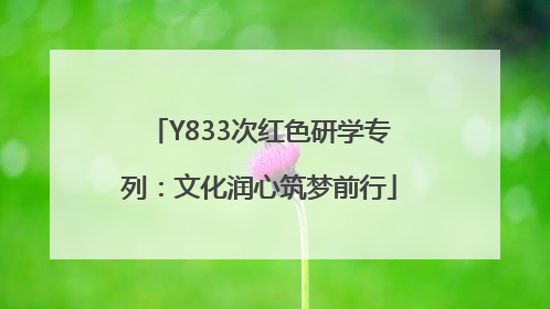 Y833次红色研学专列：文化润心筑梦前行