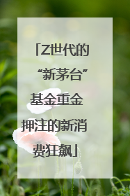 Z世代的“新茅台” 基金重金押注的新消费狂飙